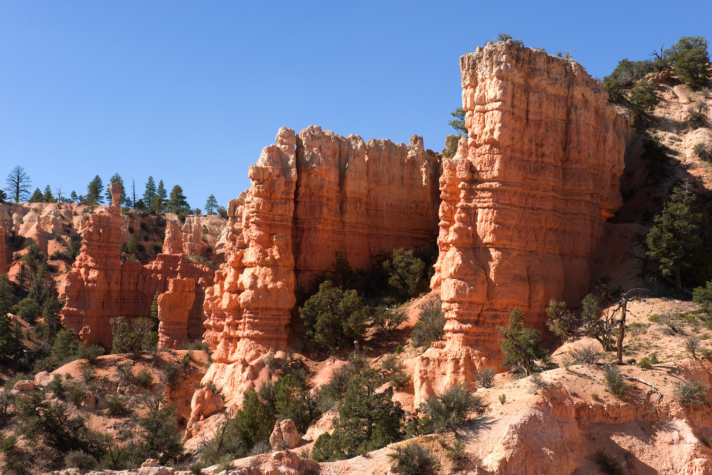 DSC 5461