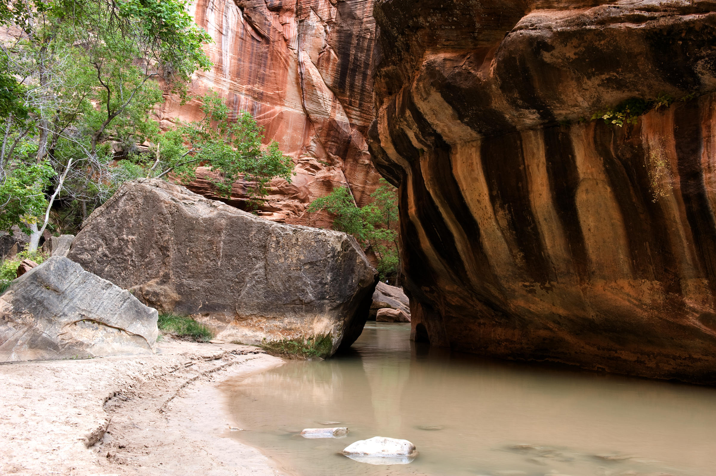 DSC 4786